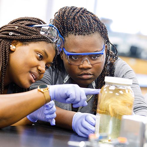 science students in lab